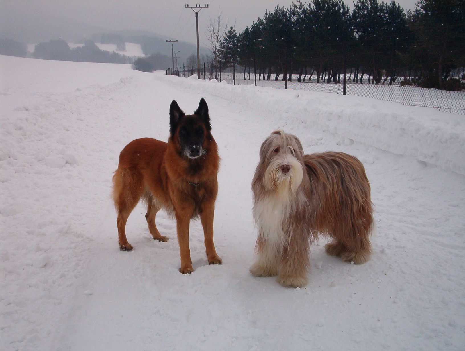 05 Ron s Nelou v zimě 2005 (11 let)