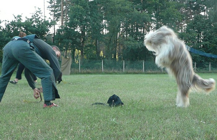 Obrany v Ratíškovicích 2008 1