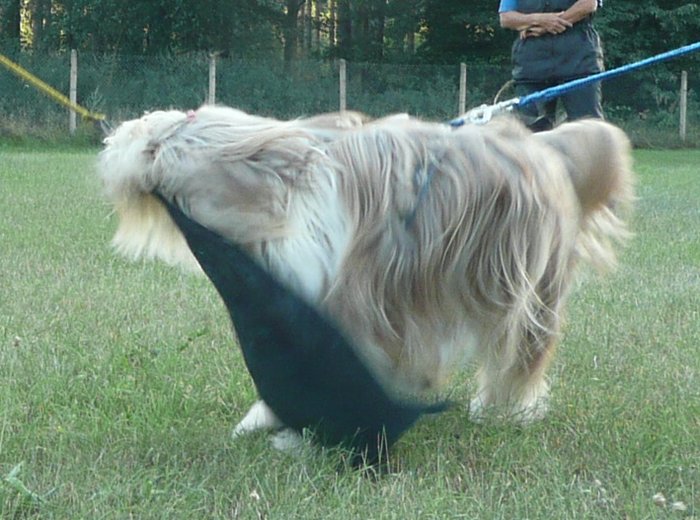 Obrany v Ratíškovicích 2008 3