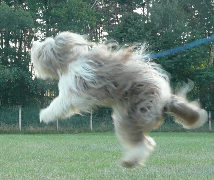 Obrany v Ratíškovicích 2008 4