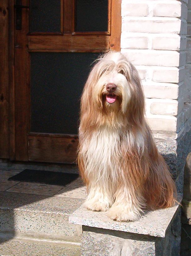 Nela u babičky (2004)